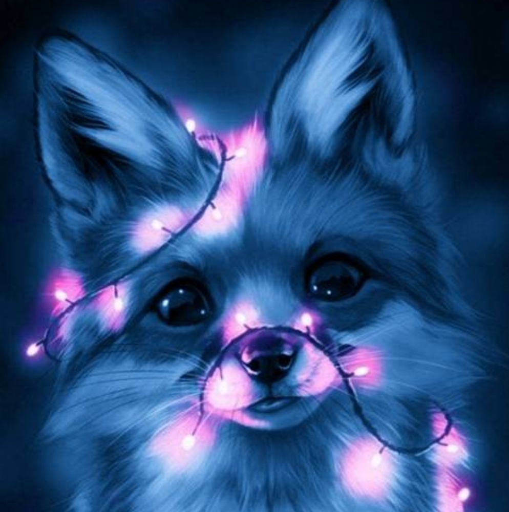 Meet your Posher, Aimee